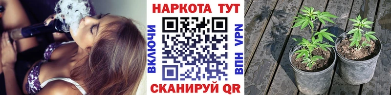 Виды наркотиков купить Черняховск Кокаин А ПВП Меф Гашиш Конопля