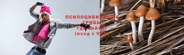 спиды Бронницы