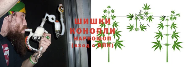 стафф Бородино