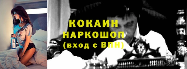 стафф Бородино