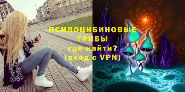 шишки Бугульма
