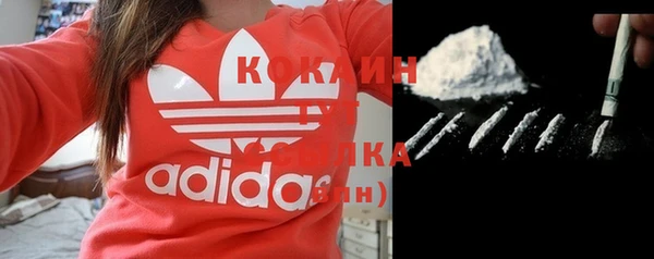 шишки Бугульма