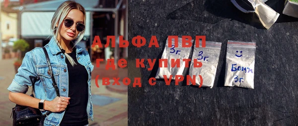 стафф Бородино