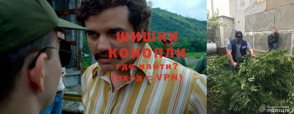 шишки Бугульма
