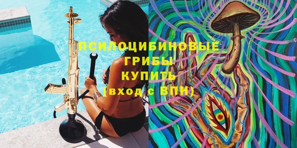 спиды Бронницы