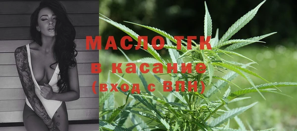 стафф Бородино