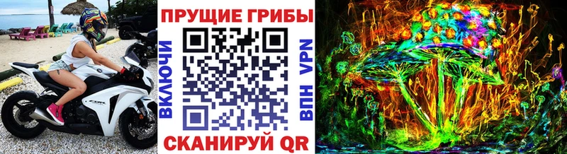 где купить наркоту  Черняховск  Галлюциногенные грибы мухоморы 